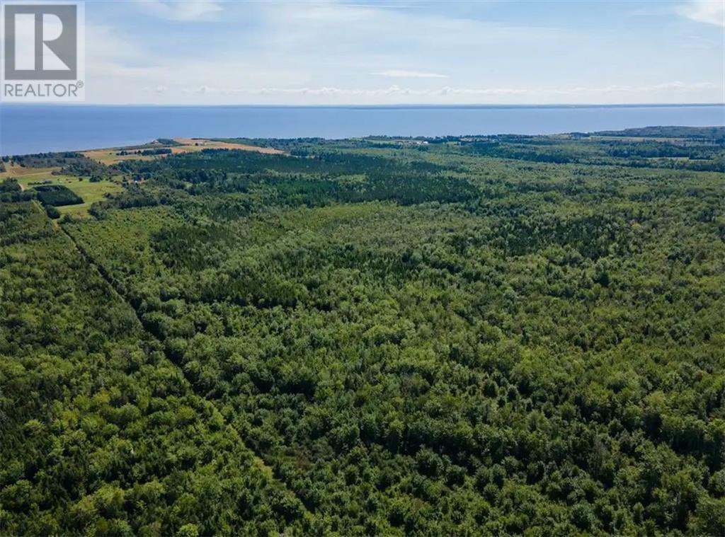 Lot Route 960, Cape Spear, New Brunswick  E4M 1R6 - Photo 2 - M158658