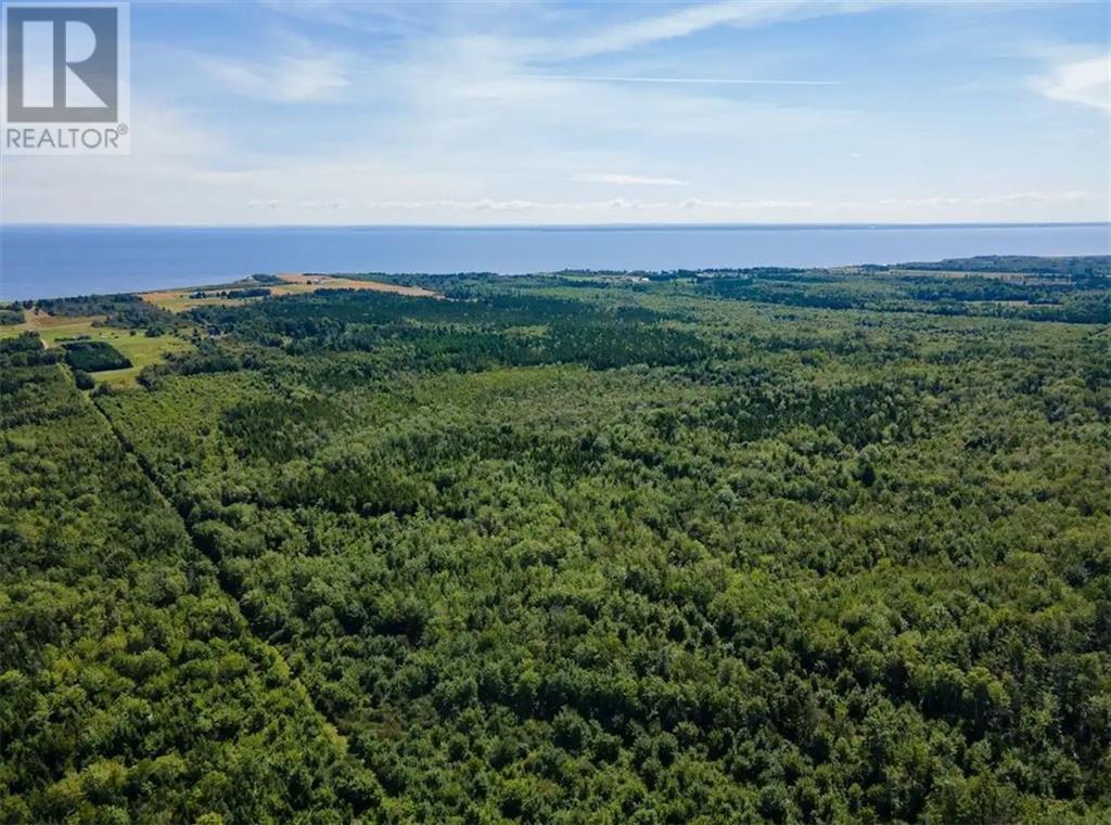 Lot Route 960, Cape Spear, New Brunswick  E4M 1R6 - Photo 3 - M158658