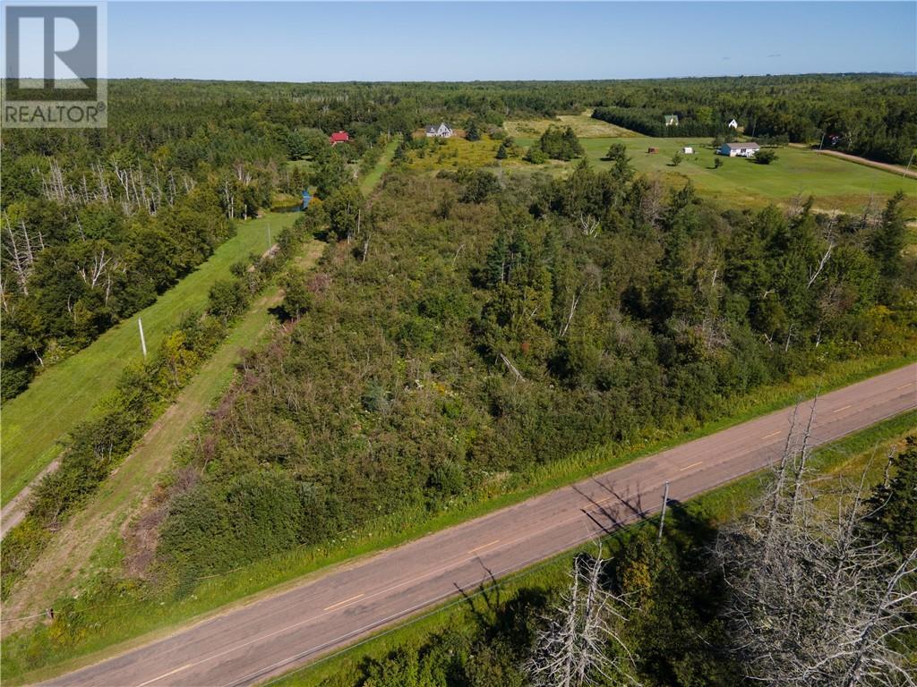 Lot Route 960, Cape Spear, New Brunswick  E4M 1R6 - Photo 4 - M158658