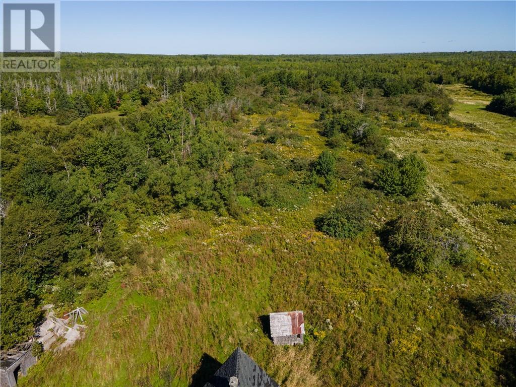 Lot Route 960, Cape Spear, New Brunswick  E4M 1R6 - Photo 5 - M158658