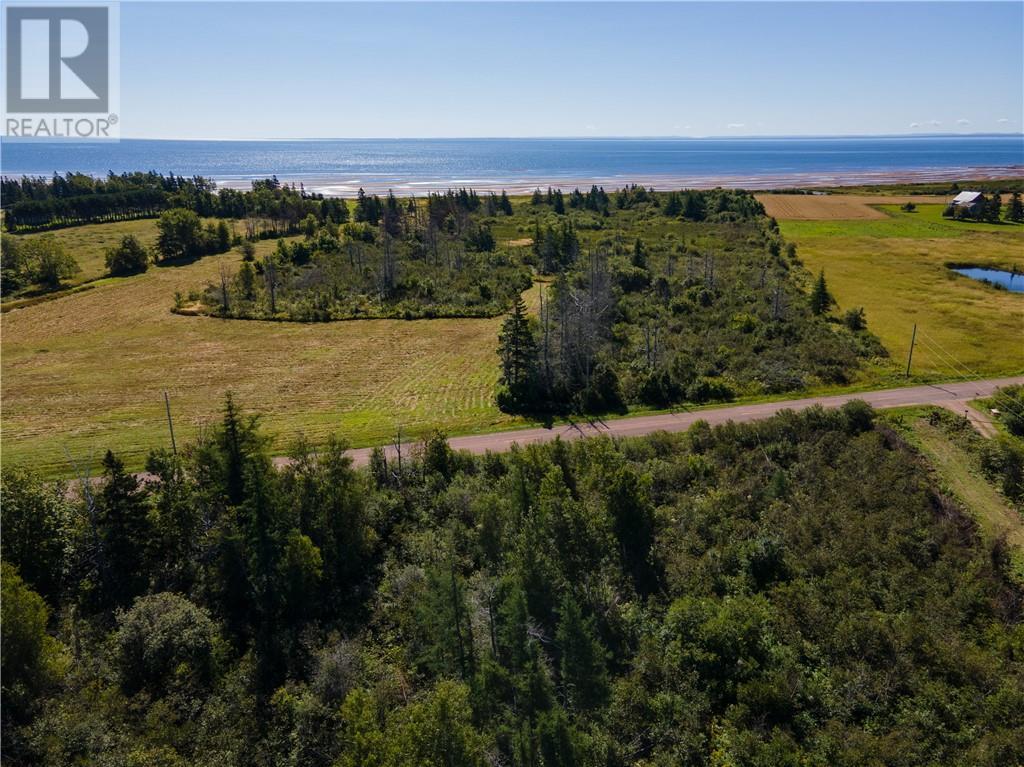 Lot Route 960, Cape Spear, New Brunswick  E4M 1R6 - Photo 7 - M158658