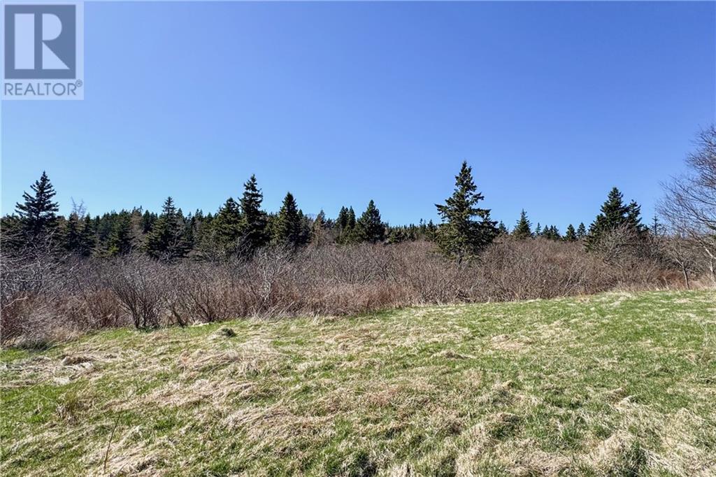 Lot Lower Rockport Road, Rockport, New Brunswick  E4K 3K9 - Photo 11 - M158973