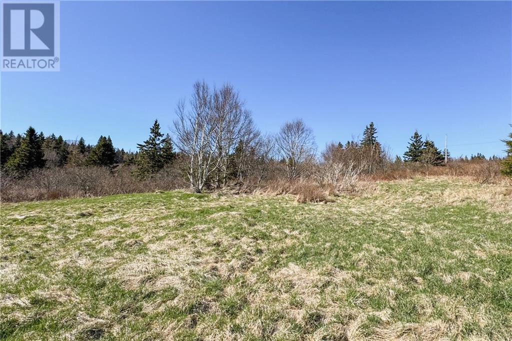 Lot Lower Rockport Road, Rockport, New Brunswick  E4K 3K9 - Photo 12 - M158973