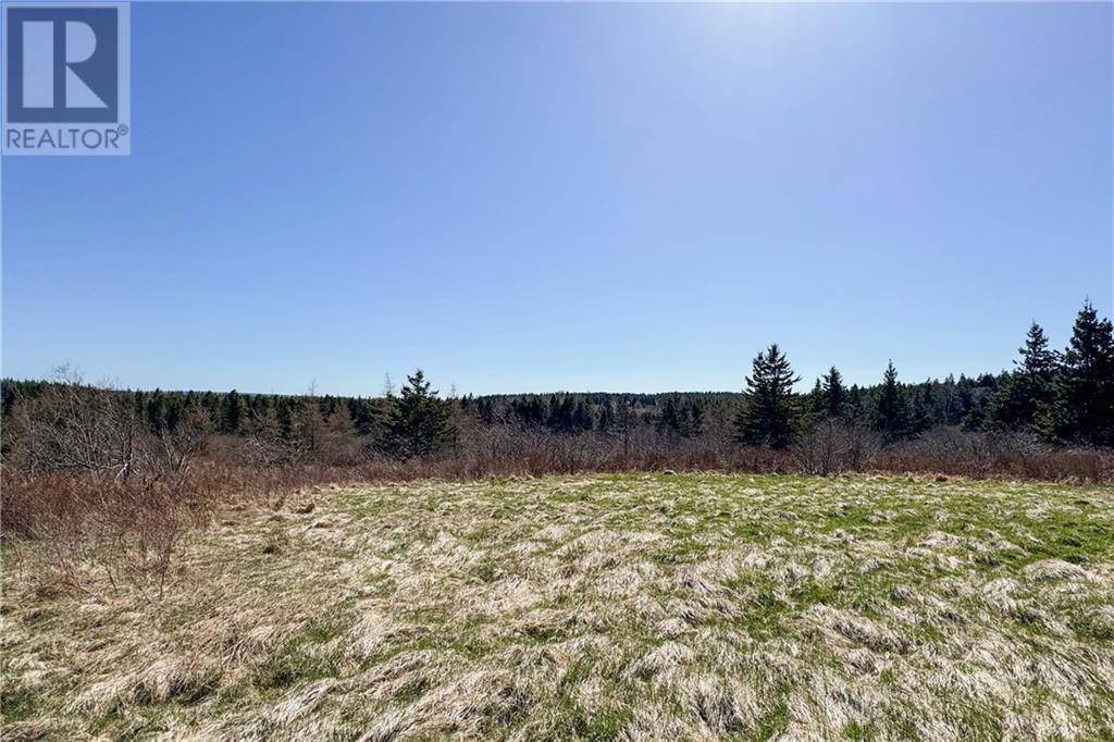 Lot Lower Rockport Road, Rockport, New Brunswick  E4K 3K9 - Photo 13 - M158973