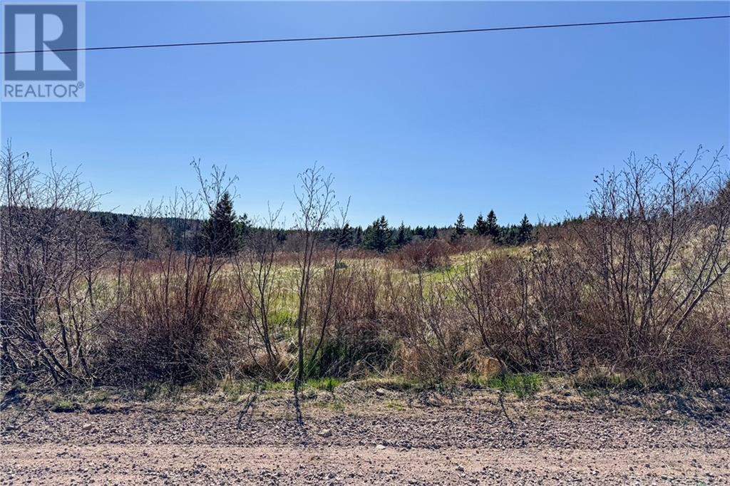 Lot Lower Rockport Road, Rockport, New Brunswick  E4K 3K9 - Photo 8 - M158973