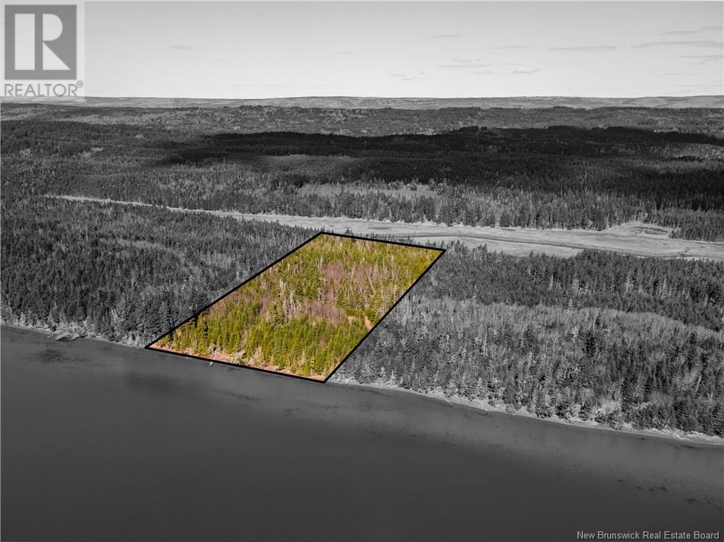 Lot Lockhart Lake, New Horton, New Brunswick  E4H 1W3 - Photo 18 - M158969