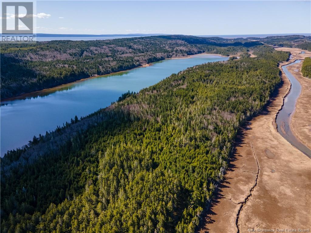 Lot Lockhart Lake, New Horton, New Brunswick  E4H 1W3 - Photo 19 - M158969