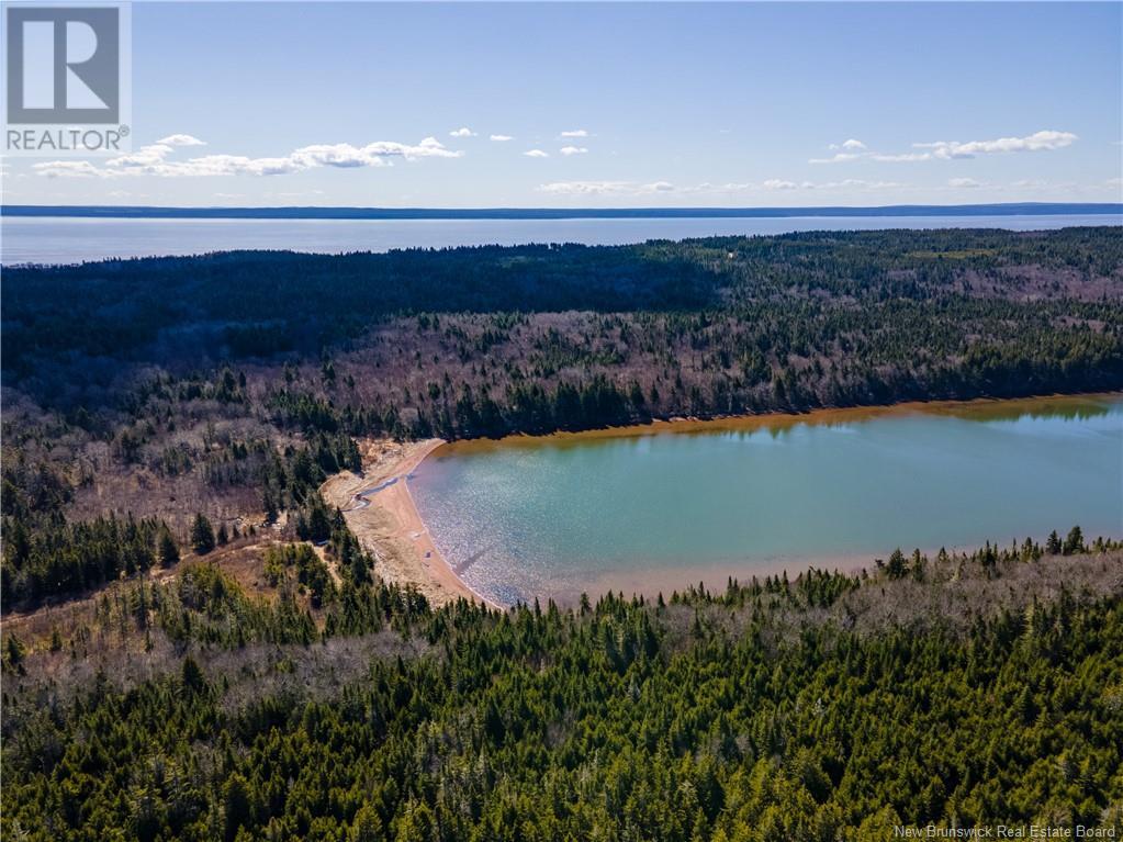 Lot Lockhart Lake, New Horton, New Brunswick  E4H 1W3 - Photo 21 - M158969