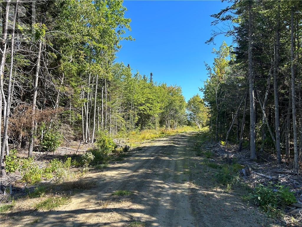 Lot 08-07 Sunrise Lane, Shemogue, New Brunswick  E4N 2N2 - Photo 48 - M158982