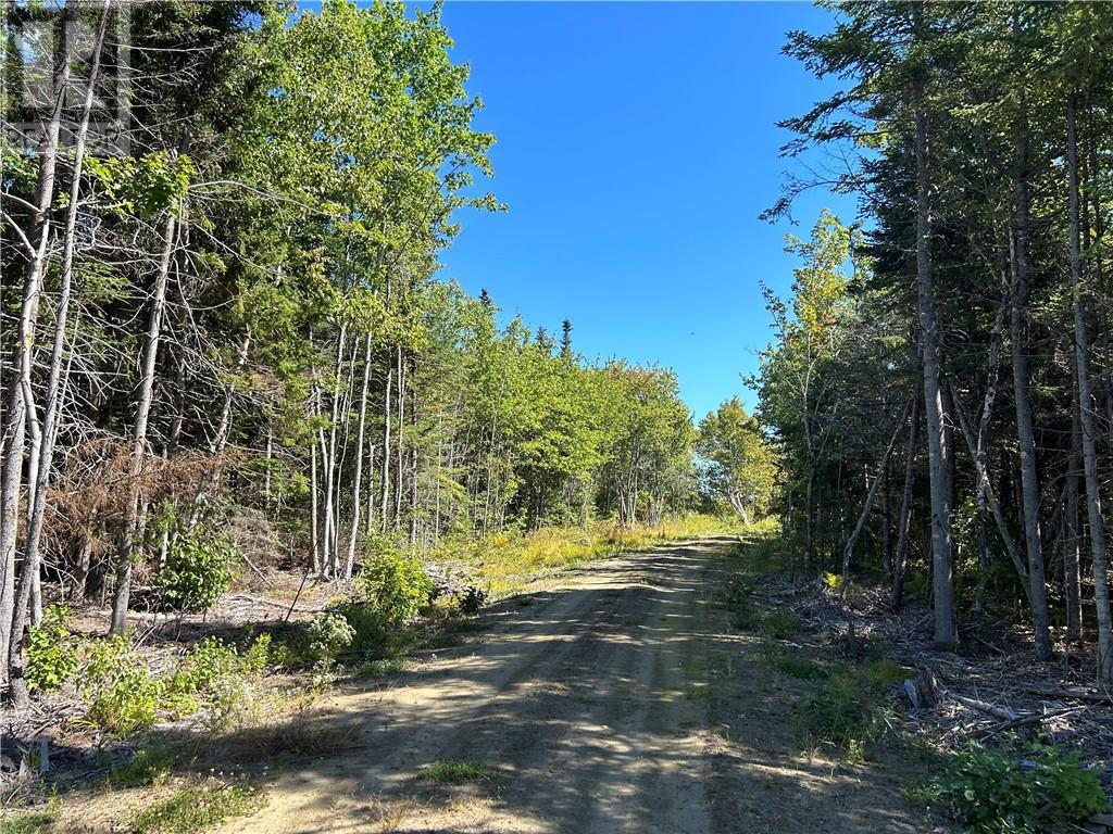 Lot 08-07 Sunrise Lane, Shemogue, New Brunswick  E4N 2N2 - Photo 49 - M158982