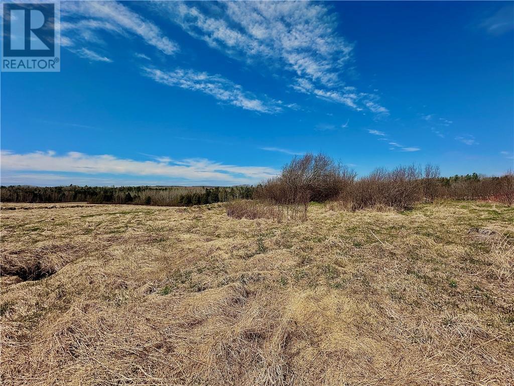 Lot Route 890, Hillgrove, New Brunswick  E4G 2R8 - Photo 1 - M158986