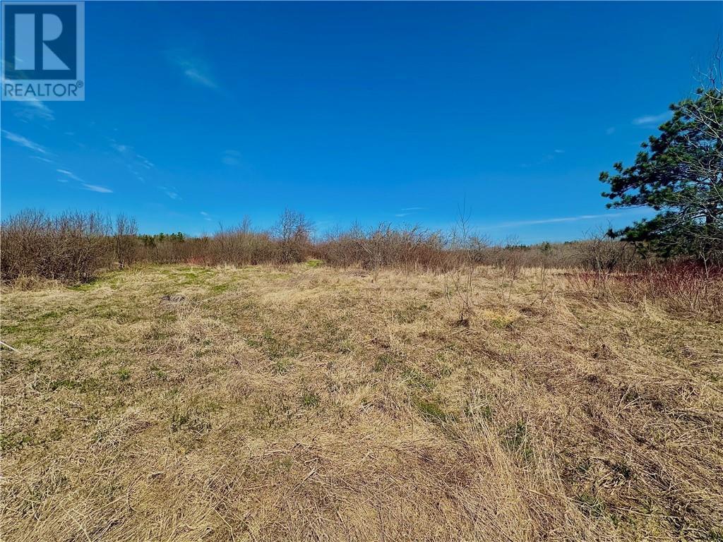 Lot Route 890, Hillgrove, New Brunswick  E4G 2R8 - Photo 4 - M158986