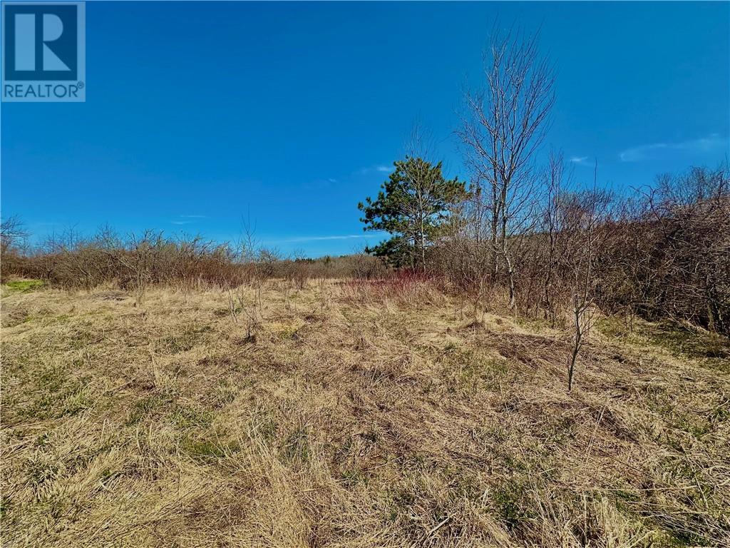 Lot Route 890, Hillgrove, New Brunswick  E4G 2R8 - Photo 5 - M158986