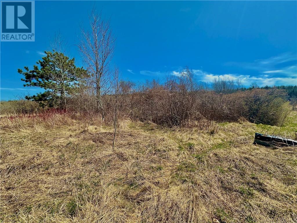 Lot Route 890, Hillgrove, New Brunswick  E4G 2R8 - Photo 6 - M158986