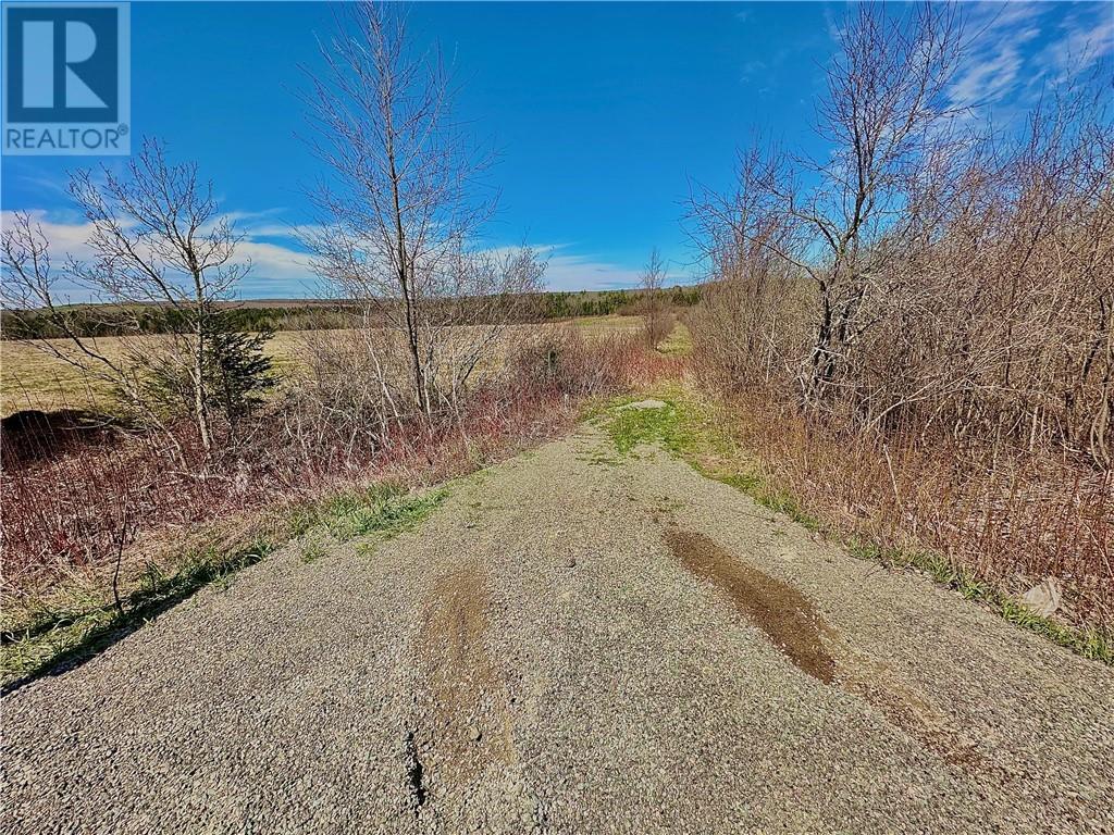 Lot Route 890, Hillgrove, New Brunswick  E4G 2R8 - Photo 8 - M158986