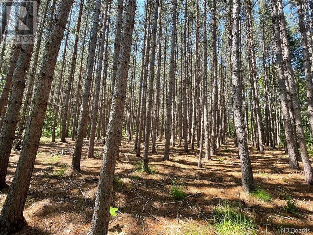 Lot 24-2 Cox Point Road, Cumberland Bay, New Brunswick  E4A 2Y8 - Photo 5 - NB098624