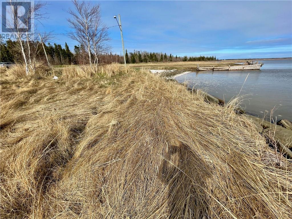 Lots Ch De L'ile Road, Petit-Cap, New Brunswick  E4N 2G6 - Photo 14 - M159040