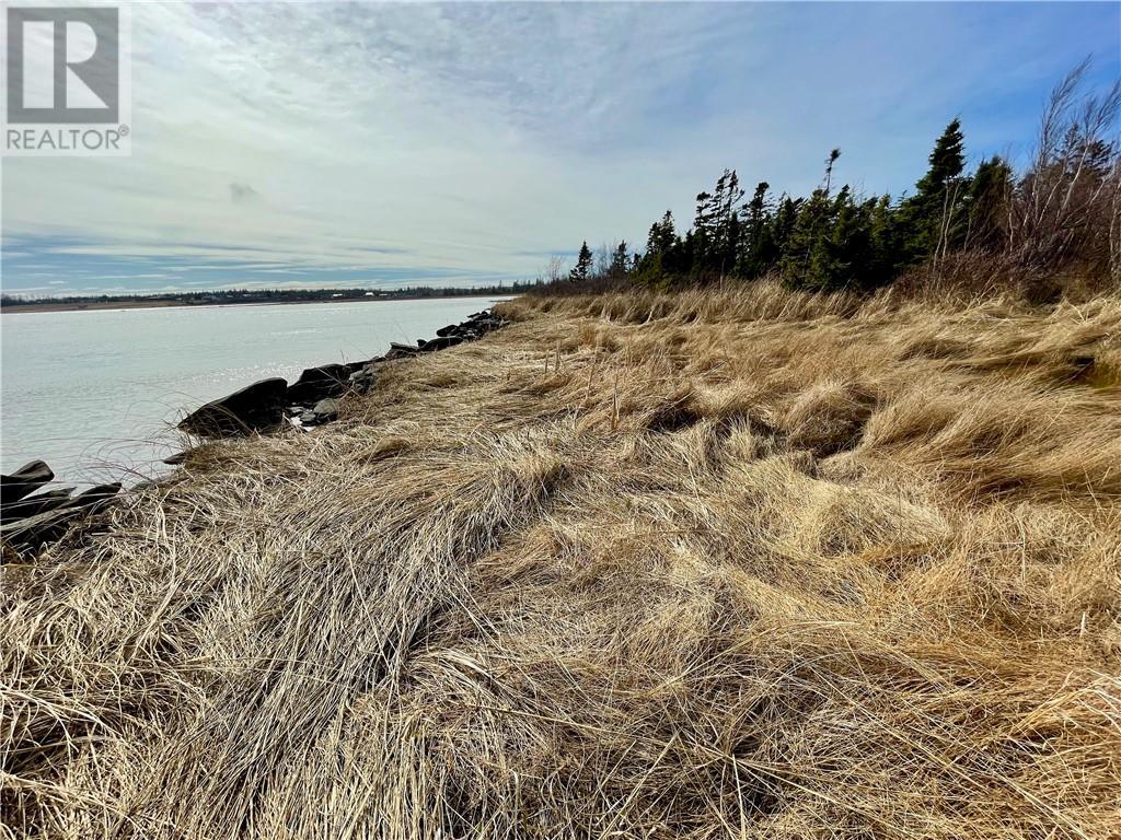 Lots Ch De L'ile Road, Petit-Cap, New Brunswick  E4N 2G6 - Photo 15 - M159040