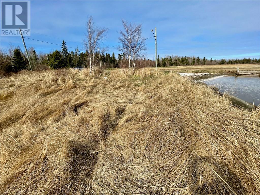 Lots Ch De L'ile Road, Petit-Cap, New Brunswick  E4N 2G6 - Photo 16 - M159040