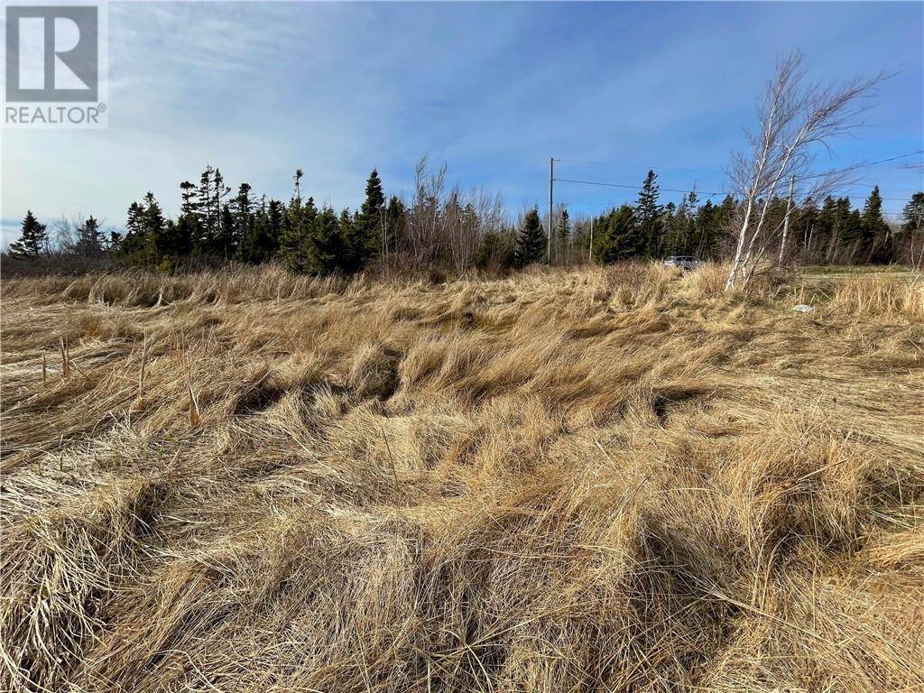 Lots Ch De L'ile Road, Petit-Cap, New Brunswick  E4N 2G6 - Photo 17 - M159040