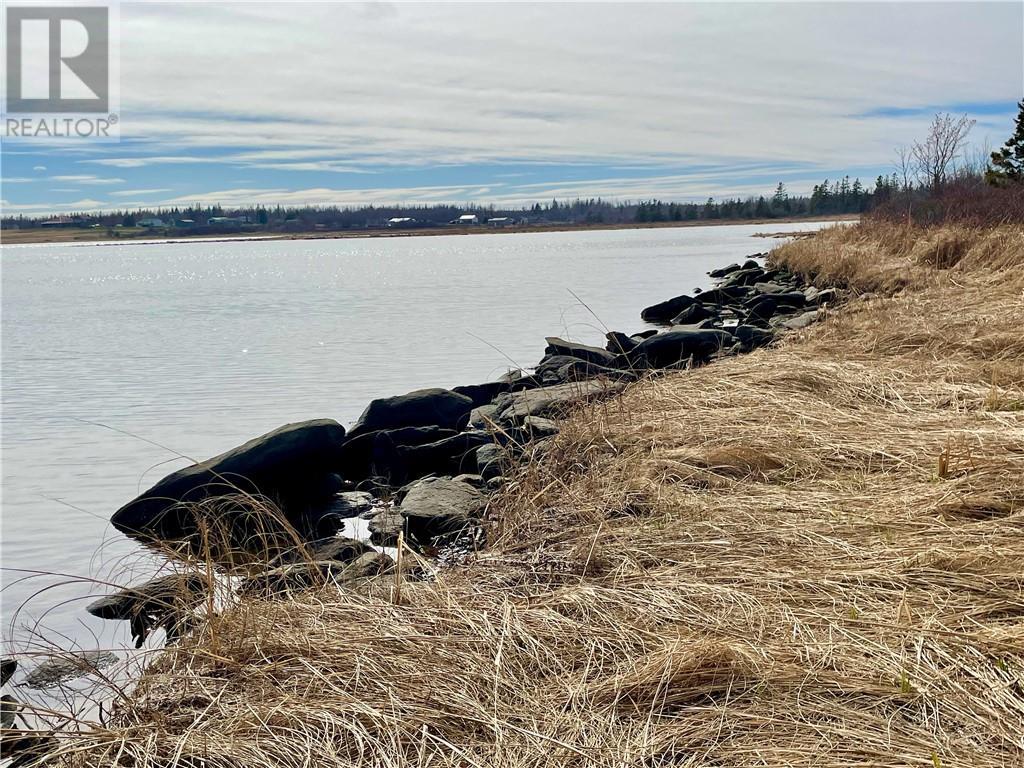 Lots Ch De L'ile Road, Petit-Cap, New Brunswick  E4N 2G6 - Photo 19 - M159040