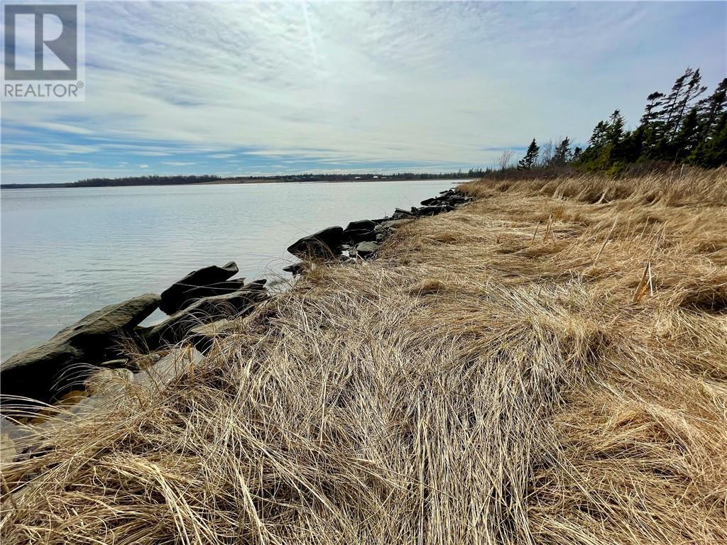 Lots Ch De L'ile Road, Petit-Cap, New Brunswick  E4N 2G6 - Photo 20 - M159040