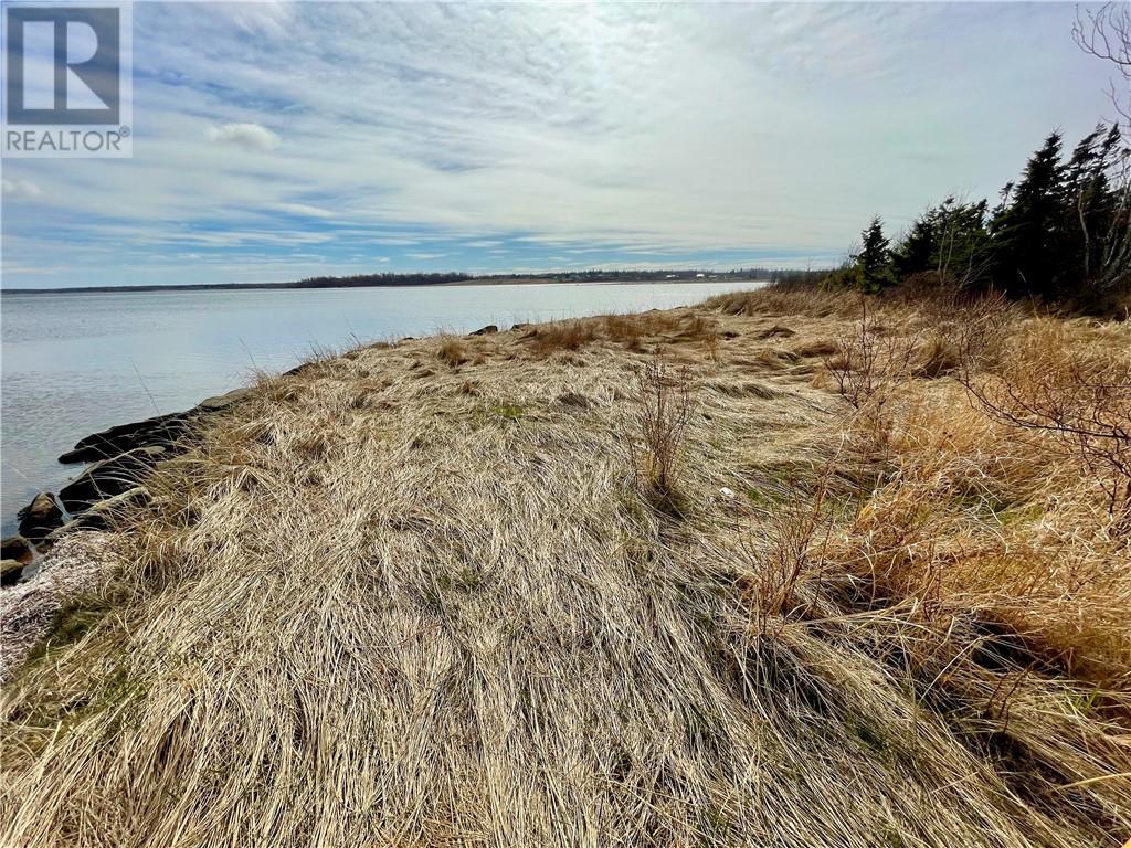 Lots Ch De L'ile Road, Petit-Cap, New Brunswick  E4N 2G6 - Photo 25 - M159040