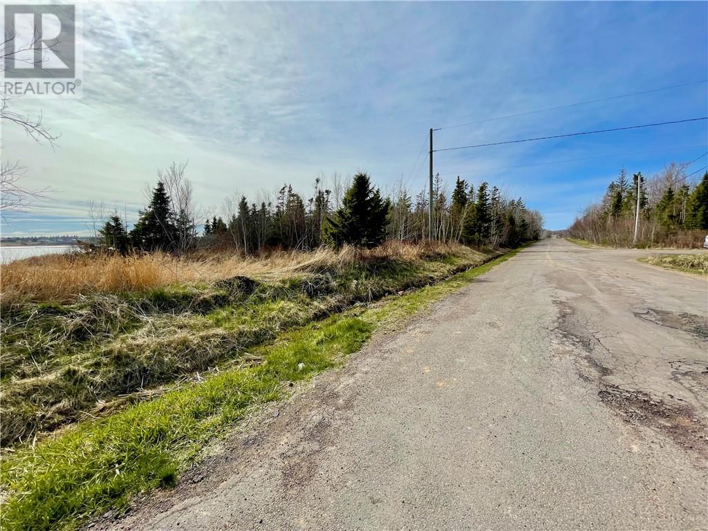 Lots Ch De L'ile Road, Petit-Cap, New Brunswick  E4N 2G6 - Photo 3 - M159040