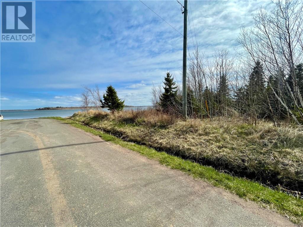 Lots Ch De L'ile Road, Petit-Cap, New Brunswick  E4N 2G6 - Photo 30 - M159040