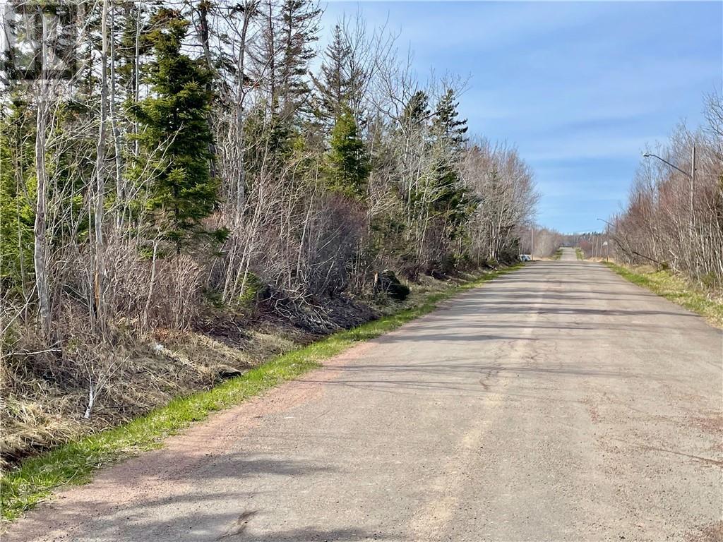 Lots Ch De L'ile Road, Petit-Cap, New Brunswick  E4N 2G6 - Photo 31 - M159040