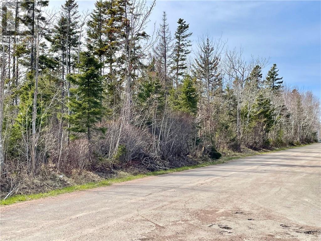 Lots Ch De L'ile Road, Petit-Cap, New Brunswick  E4N 2G6 - Photo 32 - M159040