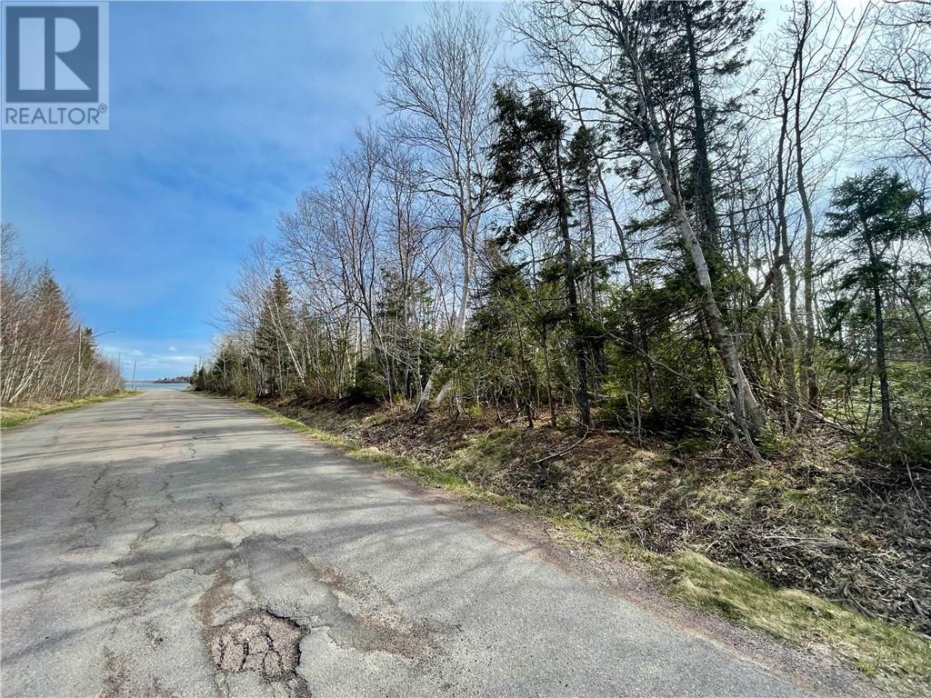 Lots Ch De L'ile Road, Petit-Cap, New Brunswick  E4N 2G6 - Photo 34 - M159040