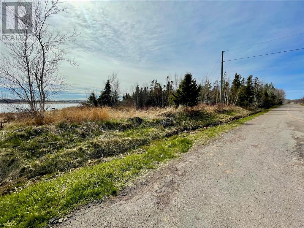 Lots Ch De L'ile Road, Petit-Cap, New Brunswick  E4N 2G6 - Photo 5 - M159040