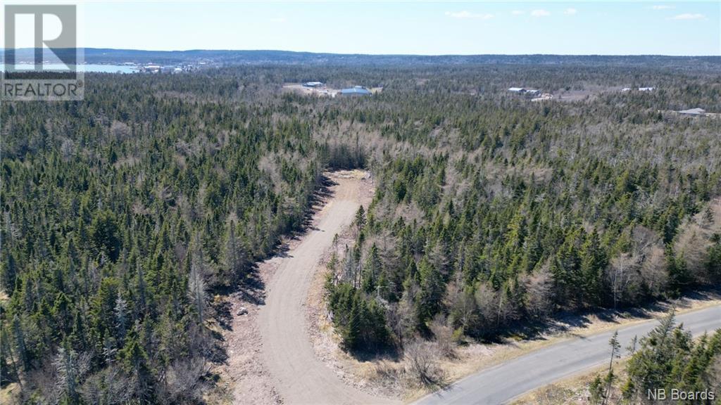 Lot 1 Shore Road, Grand Manan, New Brunswick  E5G 3E6 - Photo 6 - NB098704