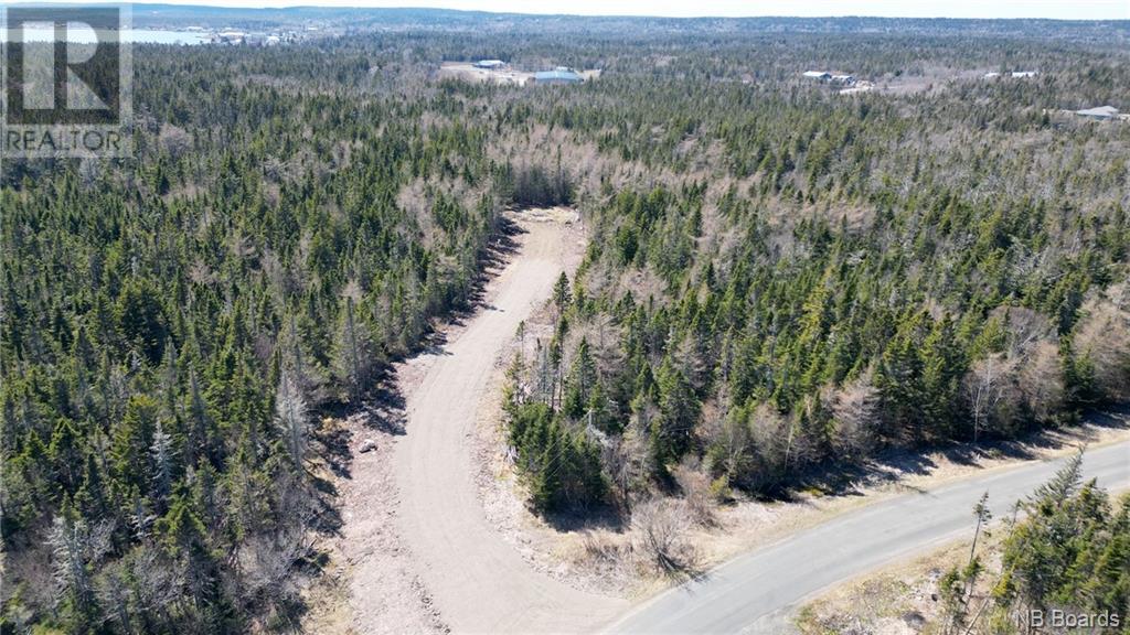 Lot 6 Shore Road, Grand Manan, New Brunswick  E5G 3E6 - Photo 2 - NB098734