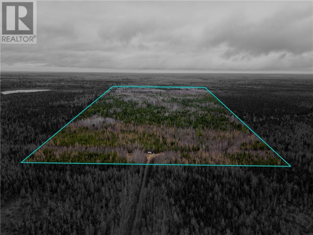 Lot Route 126, Adamsville, New Brunswick  E4T 2G1 - Photo 1 - M158843