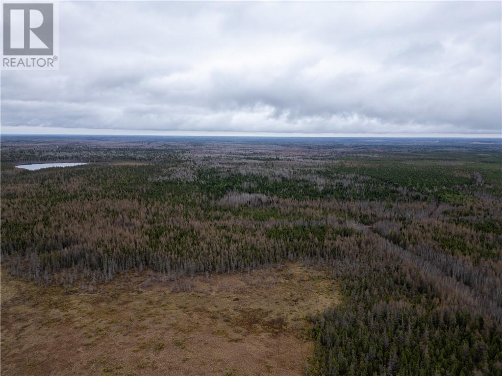 Lot Route 126, Adamsville, New Brunswick  E4T 2G1 - Photo 2 - M158843