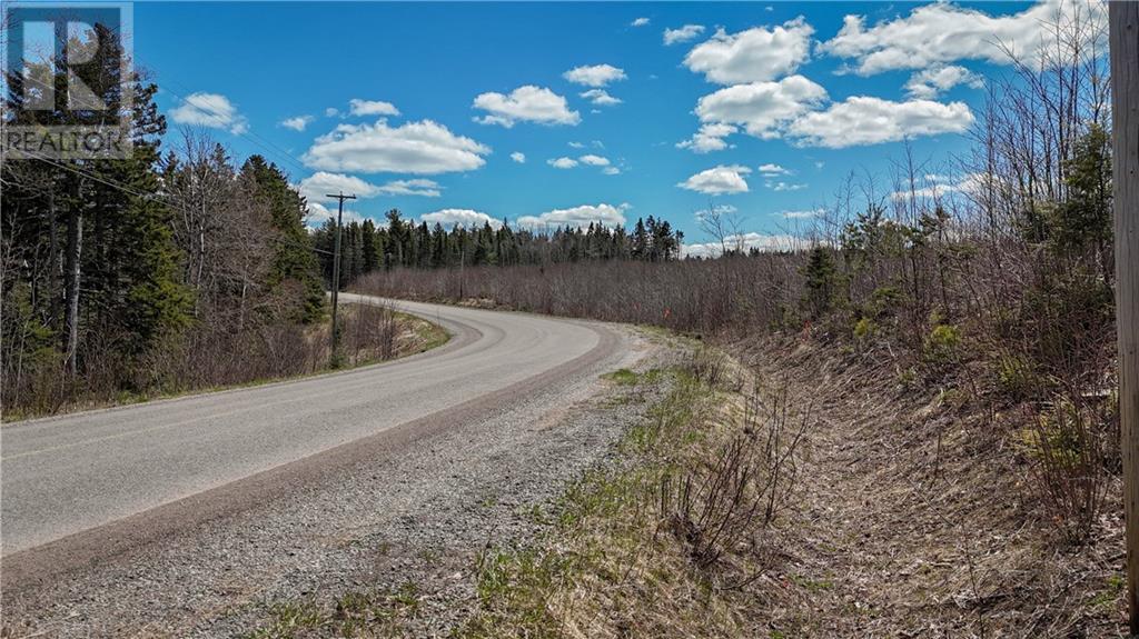 Lot 24-5 Route 895, Anagance, New Brunswick  E4Z 1E1 - Photo 19 - M159044