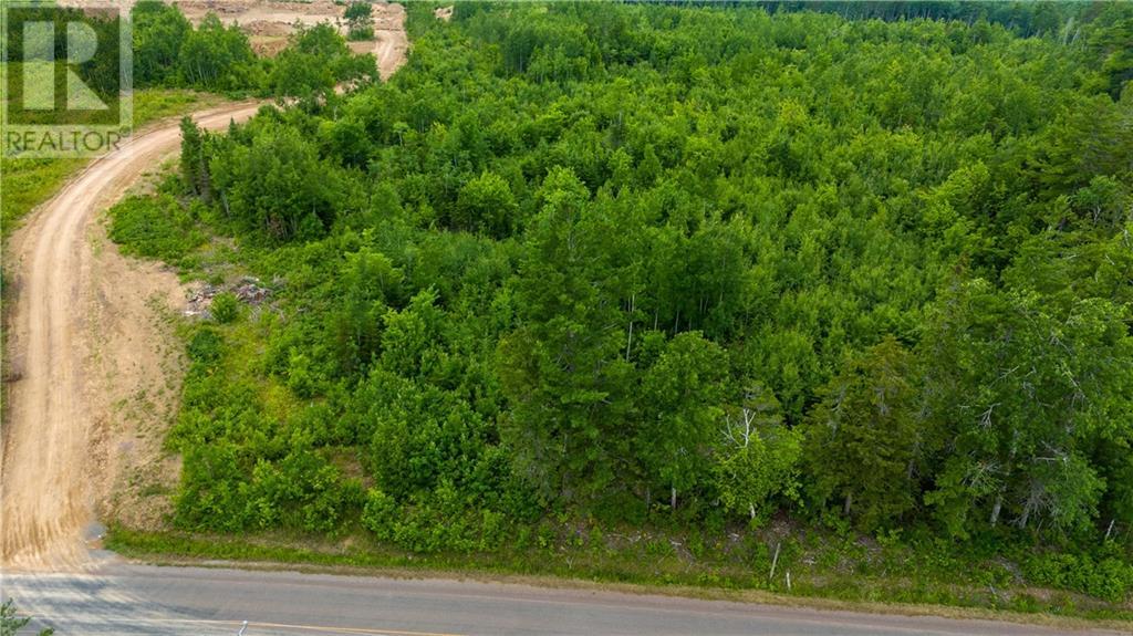 Lot 24-5 Route 895, Anagance, New Brunswick  E4Z 1E1 - Photo 5 - M159044