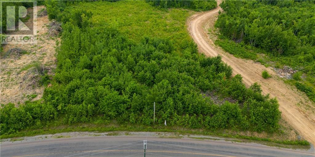 Lot 24-5 Route 895, Anagance, New Brunswick  E4Z 1E1 - Photo 6 - M159044