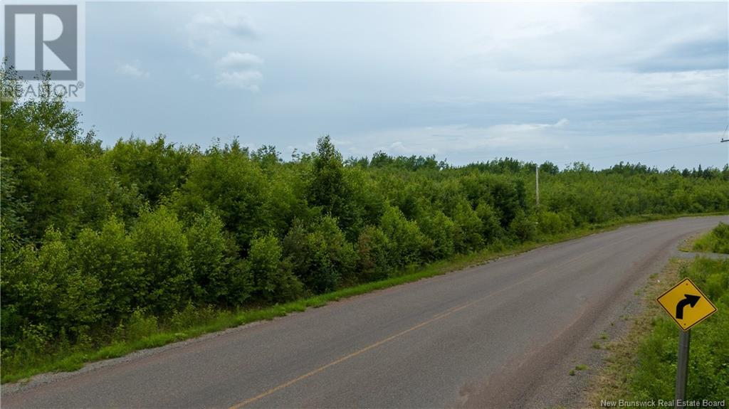 Lot 24-4 Route 895, Anagance, New Brunswick  E4Z 1E1 - Photo 16 - M159043