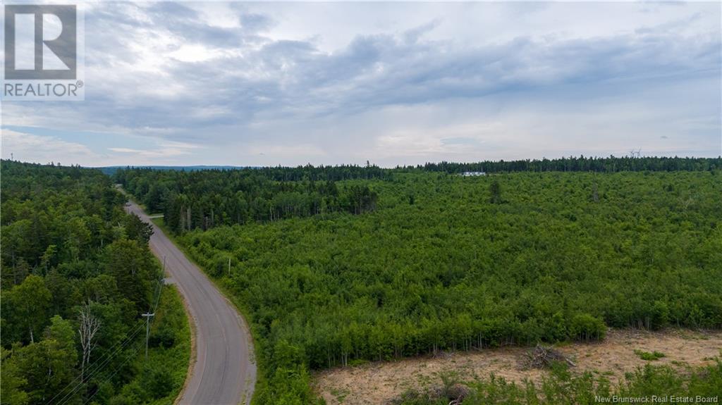 Lot 24-4 Route 895, Anagance, New Brunswick  E4Z 1E1 - Photo 19 - M159043