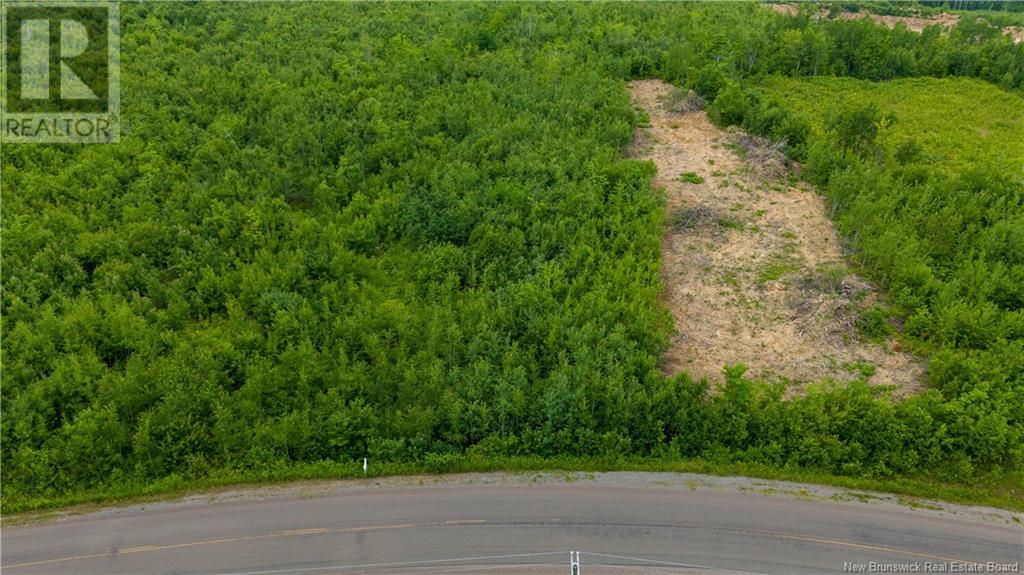 Lot 24-4 Route 895, Anagance, New Brunswick  E4Z 1E1 - Photo 6 - M159043