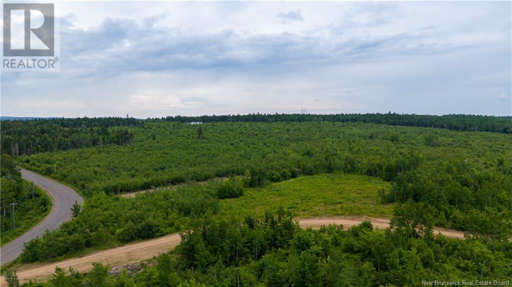 Lot 24-3 Route 895, Anagance, New Brunswick  E4Z 1E1 - Photo 20 - M159042