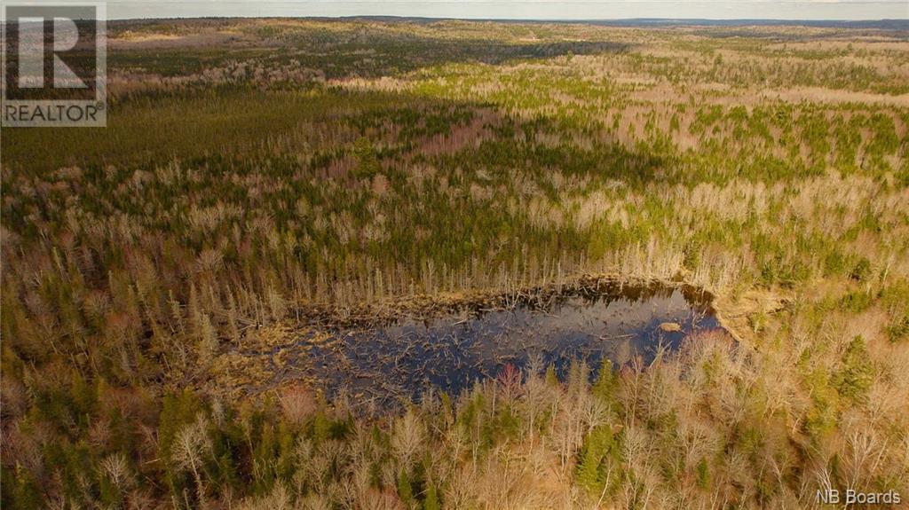 000 Scotch Ridge Road, Scotch Ridge, New Brunswick  E3L 5L3 - Photo 6 - NB098850