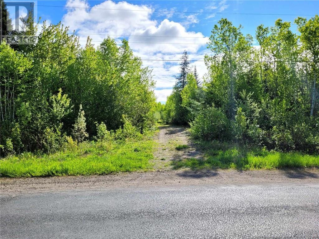 55.77 acres Route 11, madran, New Brunswick