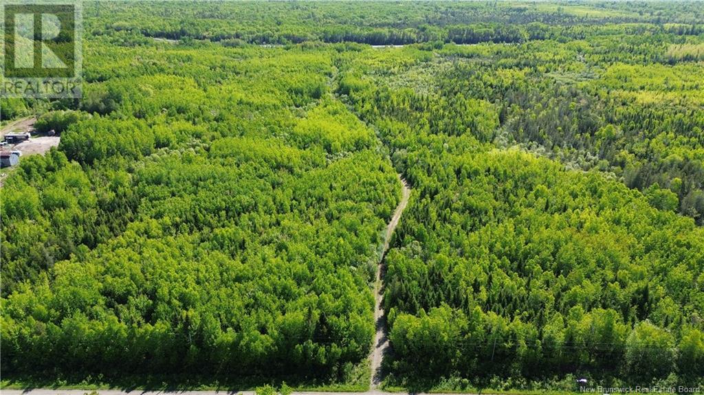 55.77 Acres Route 11, Madran, New Brunswick  E8J 0A2 - Photo 2 - NB098864