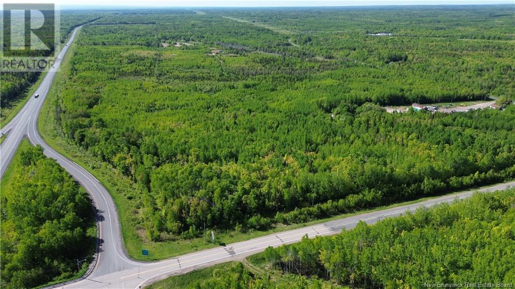 55.77 Acres Route 11, Madran, New Brunswick  E8J 0A2 - Photo 5 - NB098864