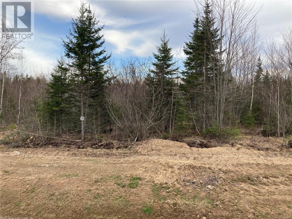 Lot 23-30 Maefield Road, Lower Coverdale, New Brunswick  E1J 0E7 - Photo 1 - M159120