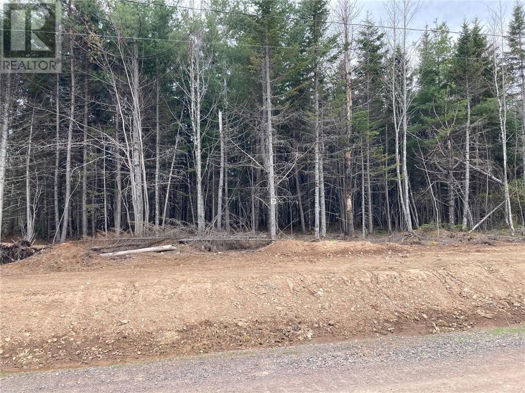 Lot 23-31 Maefield Road, Lower Coverdale, New Brunswick  E1J 0E7 - Photo 2 - M159123